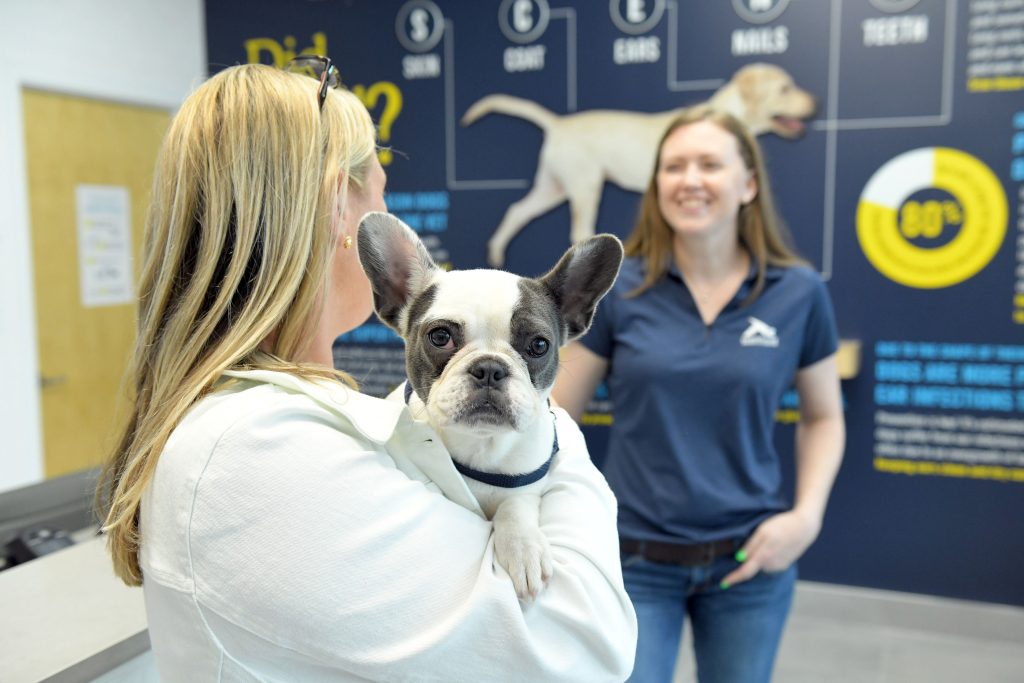 Customer holds a French Bulldog at a Scenthound center as an associate greets them