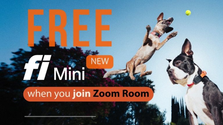 When Franchisors Find the Right Tech Partners, Everyone Wins Two dogs wearing Fi collars play fetch as Zoom Room offers a free Fi Mini with membership